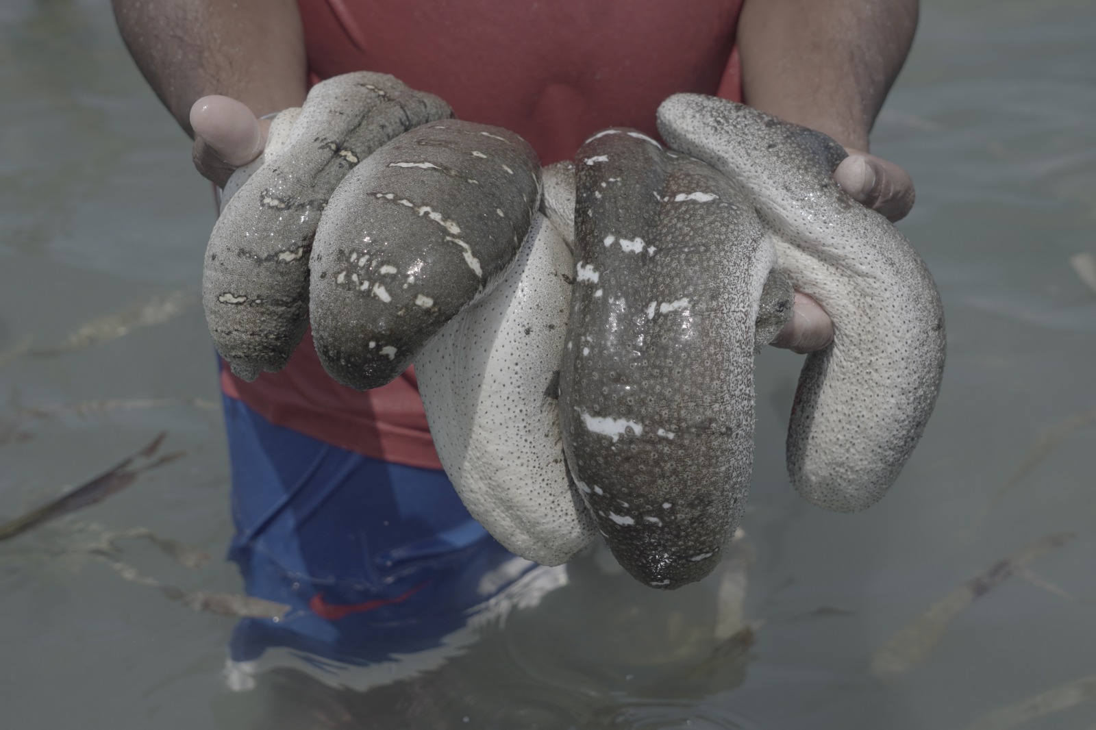 Empowering Coastal Communities