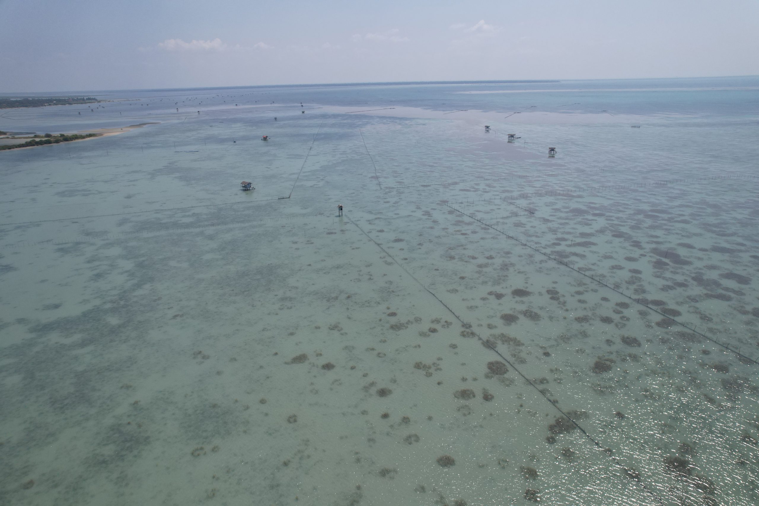 Sustainable Aquaculture Commitment